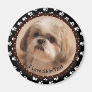 Search for shih magnets Pets