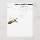 Search for jumping frog postcards Animal