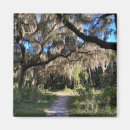 Search for spanish moss Souvenir