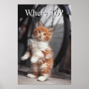 Search for cute baby kitten posters Pets