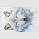 Search for arctic wolf Watercolor