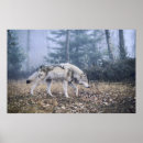 Search for timber posters Nature