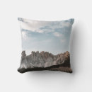 Search for gray brown cushions Grey