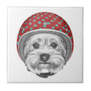 Search for helmet tiles Aviation