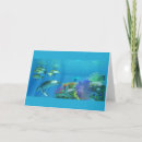 Search for angelfish cards Aquatic