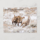 Search for grand postcards Grand teton national park