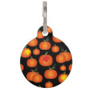 Search for halloween pet supplies Autumn