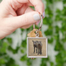 Search for two animals key rings Animals in the wild