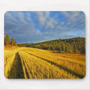Search for wheat mouse mats Farm