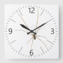 Search for scary clocks Arachnid