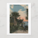Search for heron postcards Coast