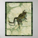 Search for green frog posters Toad