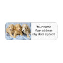 Search for cute puppy return address labels Adorable