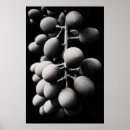 Search for grapevine small posters Juice