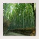 Search for bamboo puzzles Asia