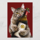 Search for cat joke invitations Avanti press