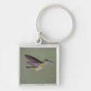 Search for big bird key rings Birds around the world