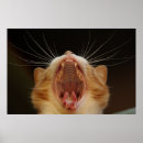 Search for yawn posters Funny