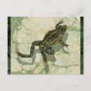 Search for toads postcards Green