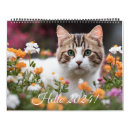 Search for cute kitten calendars Kitty