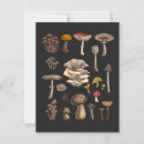 Search for boletus postcards Nature