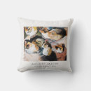 Search for vintage cat cushions Illustration