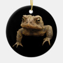 Search for amphibian christmas tree decorations Tadpole