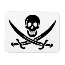 Search for pirates magnets Skull
