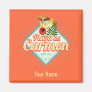 Search for tulum magnets Retro