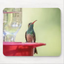 Search for belly mouse mats Animal