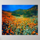 Search for popcorn posters Blue