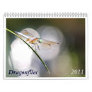 Search for dragonfly calendars Insects