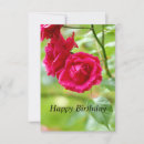 Search for red rose birthday cards Beauty