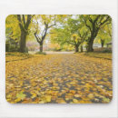 Search for road tree mouse mats Nature