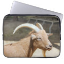 Search for billy electronics Animal