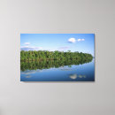Search for amazon canvas prints Forest