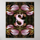 Search for painted lady posters Flower