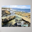 Search for maui Souvenir