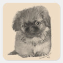 Search for maggie stickers Pets