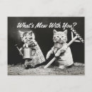 Search for mew Vintage