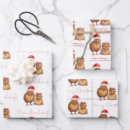Search for kiwi wrapping paper New zealand