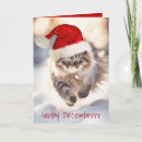 Search for maine coon cat christmas cards Pet