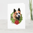 Search for australian cattle dogs cards Acd