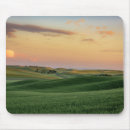Search for wheat electronics Field