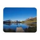 Search for vons magnets Landscape