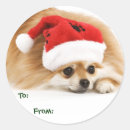 Search for pomeranian stickers Xmas