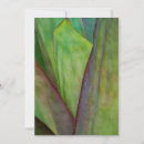 Search for agave cards Habitat