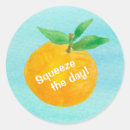 Search for squeeze stickers Fruit