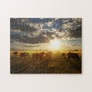 Search for argentina puzzles Sunset