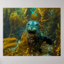 Search for kelp posters California